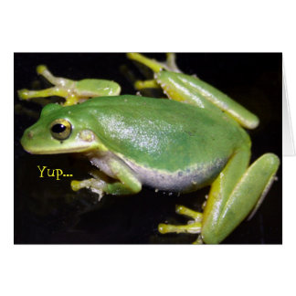 Cartão Placa de Sapo engraçada