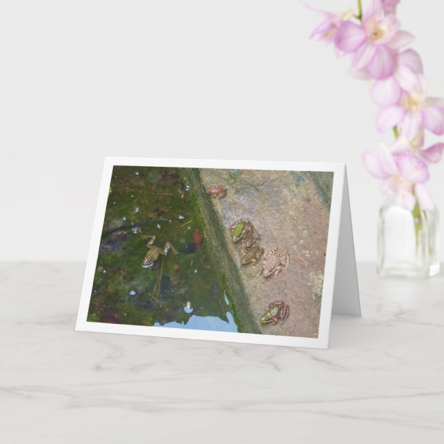 Cartão Placa de Sapos Ibérica (Orquídea)