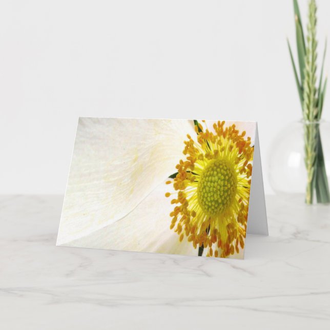 Cartão Placa de saudação da Flor Sunshine (Frente)