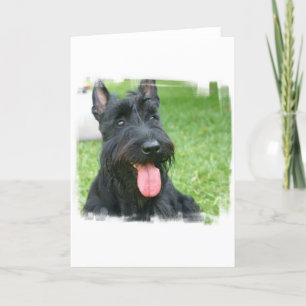 Cartão Placa de Saudação de Cão Terrier Escocês