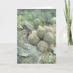 Cartão Placa de saudação de espiral Saguaro