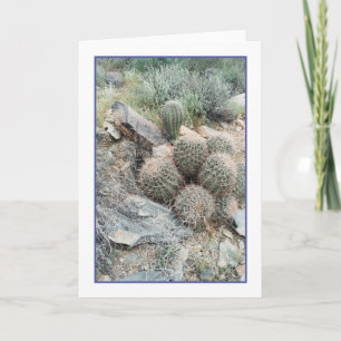 Cartão Placa de saudação de espiral Saguaro