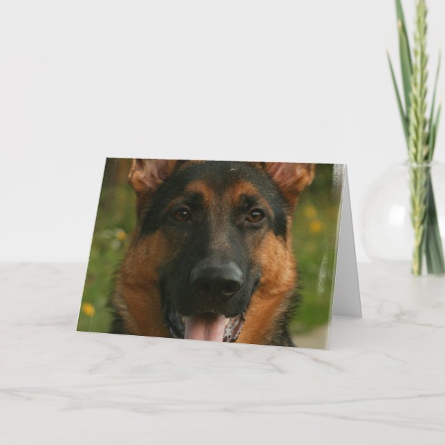 Cartão Placa de saudação de german shepherd (Frente)