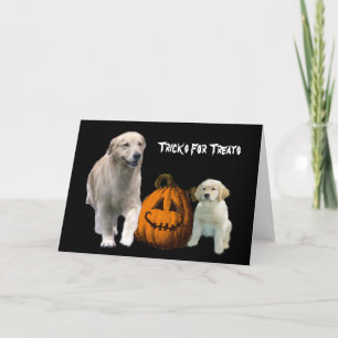 Cartão Placa de Saudação de Halloween para Retriever de o