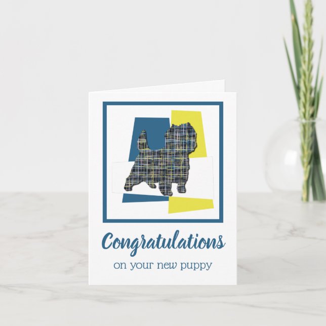 Cartão Placa de Saudação de Parabéns Cairn Terrier Puppy (Frente)