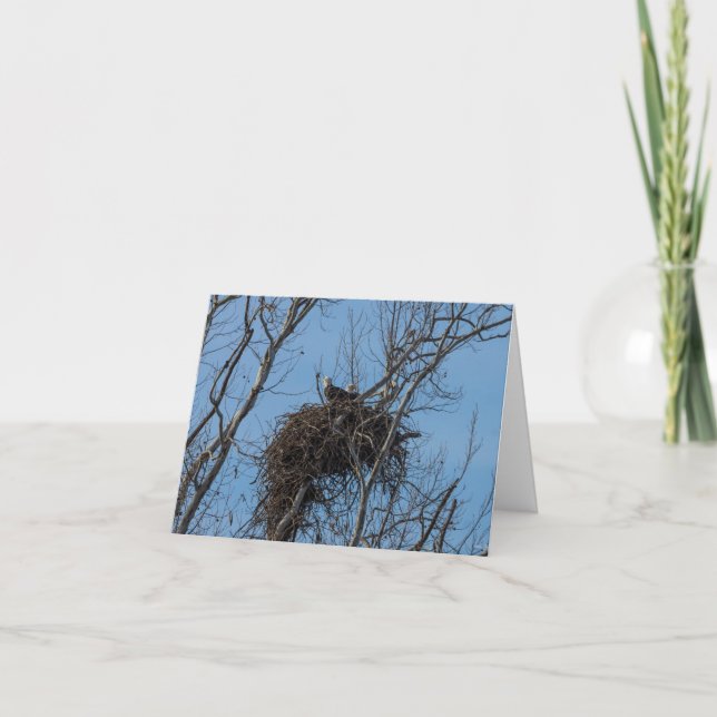 Cartão Placa de saudação de problemas de águia dupla (Frente)