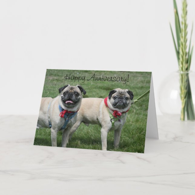 Cartão Placa de Saudação de Pug de Aniversário Feliz (Frente)
