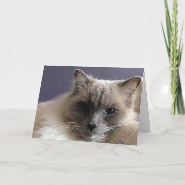 Cartão Placa de saudação de vazio (Frente)