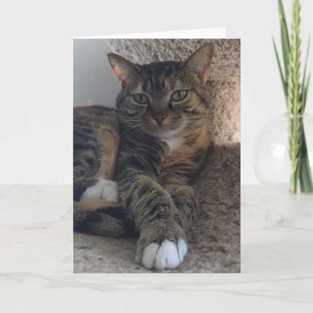 Cartão Placa de saudação de vazio (Frente)