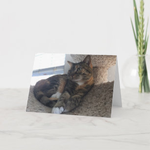 Cartão Placa de saudação de vazio