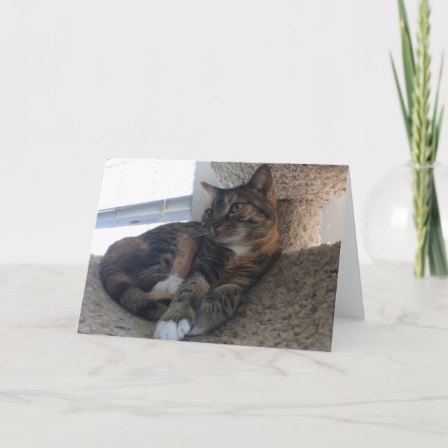 Cartão Placa de saudação de vazio (Frente)