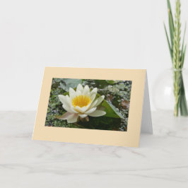 Cartão Placa de saudação de vazio