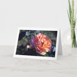 Cartão Placa de saudação de Vazio dobrada rosa rosa rosa