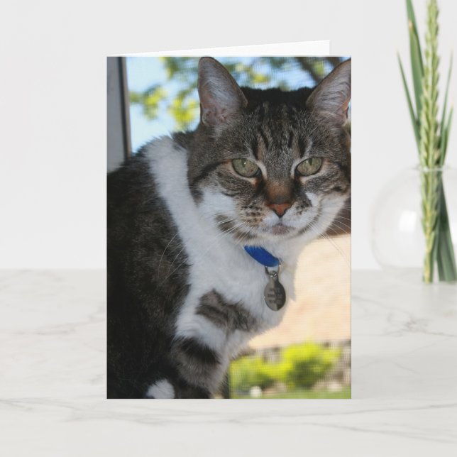 Cartão Placa de saudação de Vazio suave (Frente)