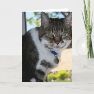 Cartão Placa de saudação de Vazio suave