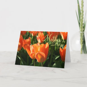 Cartão Placa de saudação do Dia de as mães Sunny Orange T