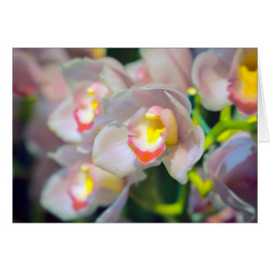 Cartão Placa de Saudação do Happy Birthday Orchid Restyle