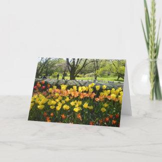 Cartão Placa de saudação do Modo de Exibição de Tulip Gar