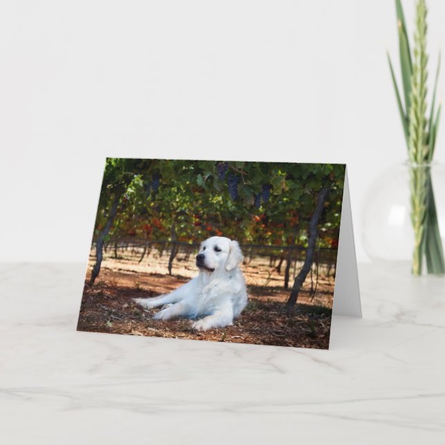 Cartão Placa de saudação do Vazio do ouro Retriever (Frente)