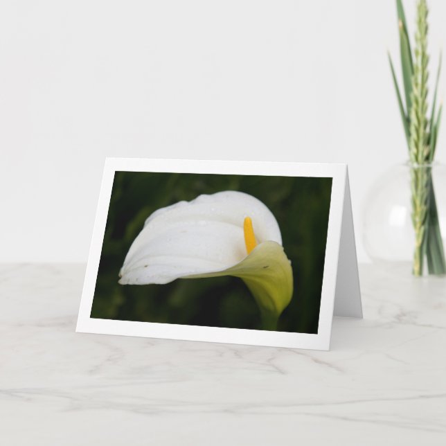 Cartão Placa de saudação do Vazio dobrado pelo ventilador (Frente)