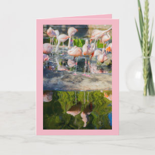 Cartão Placa de saudação do Vazio Flamingos rosa