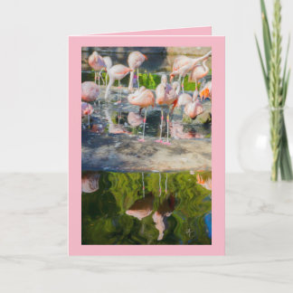 Cartão Placa de saudação do Vazio Flamingos rosa