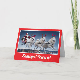 Cartão Placa de saudação dobrada em Sleigh com Samoyed Po