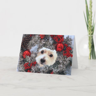 Cartão Placa de saudação dobrada, pequena, 4" x 5,6"