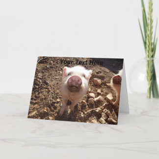 Cartão Placa de Saudação MiniPig Sutil