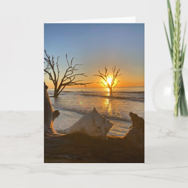 Cartão placa de saudação nº 1 do compartimento de botânic (Frente)