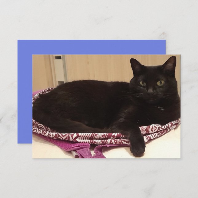 Cartão Placa de saudação plana de 3,5" x 5" (Frente/Verso)