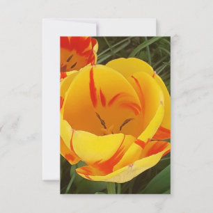 Cartão Placa de saudação plana primavera Tulips