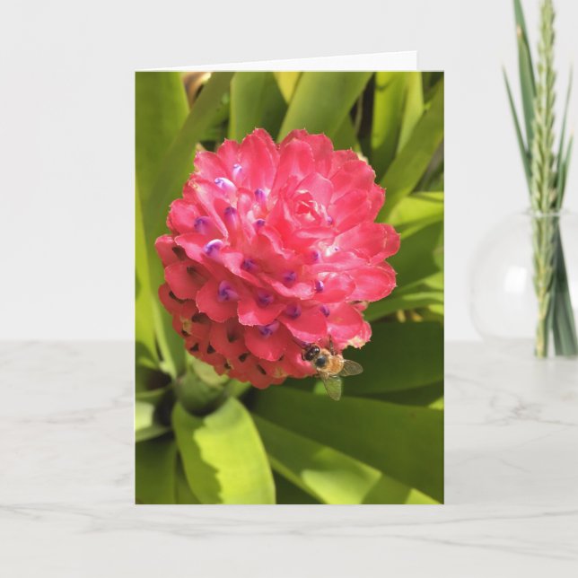 Cartão placa de saudação springtime nº 3 (dentro de vazio (Frente)