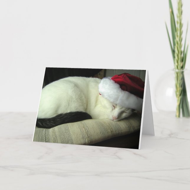 Cartão Placa de saudação WiLSoN SOLSTiCE (Frente)