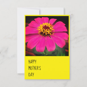 Cartão Placa de Saudação Zinnia para o Dia de as mães Fel