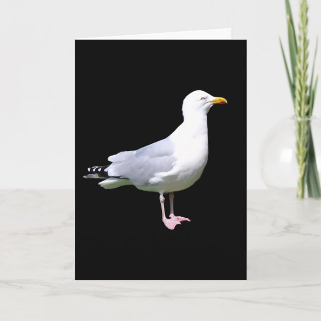 Cartão Placa de saudações de texto adicionado em pé à gai (Frente)