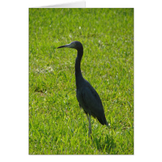 Cartão Placa de vazio