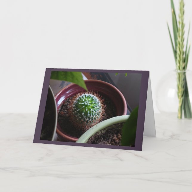 Cartão Placa de vazio (Frente)