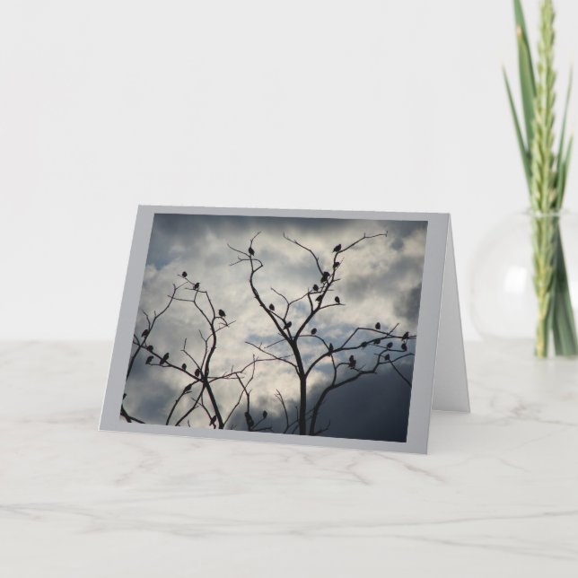 Cartão Placa de vazio (Frente)