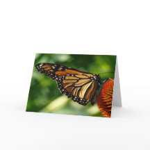 Placa de Vazio borboleta