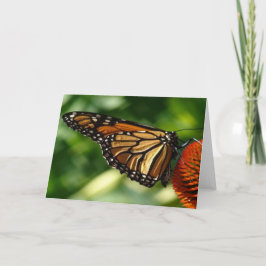 Cartão Placa de Vazio borboleta