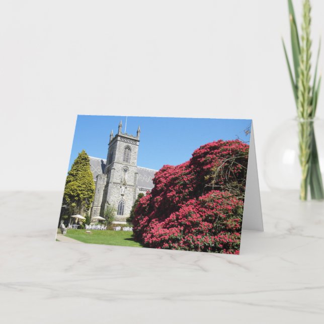 Cartão Placa de vazio Cênnica Simplesmente (Frente)