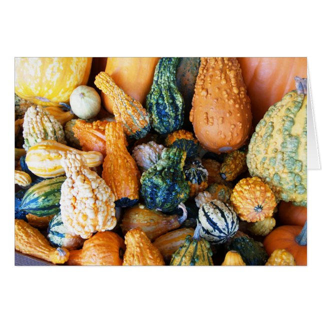 Cartão Placa de vazio com fundo de cobertura (Frente Horizontal)