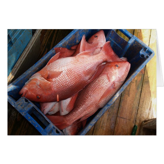 Cartão Placa de vazio com fundo de snapshot vermelho (Frente horizontal)