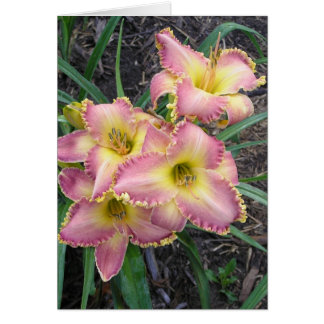 Cartão Placa de vazio com Manhã de Mojave