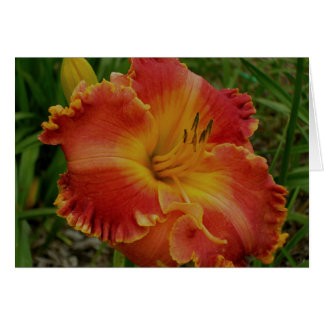 Cartão Placa de vazio com Orange Daylily