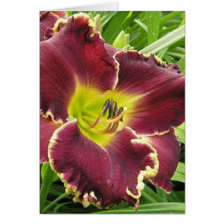 Cartão Placa de vazio com Soo Purple Daylily