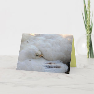 Cartão Placa de vazio com Verso