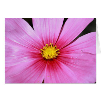 Cartão Placa de Vazio Cosmo Rosa