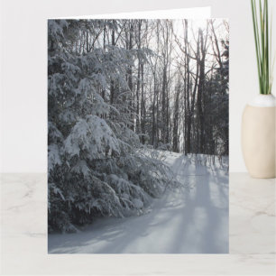 Cartão Placa de Vazio da Manhã de Inverno Fria